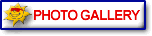 Photo Gallery